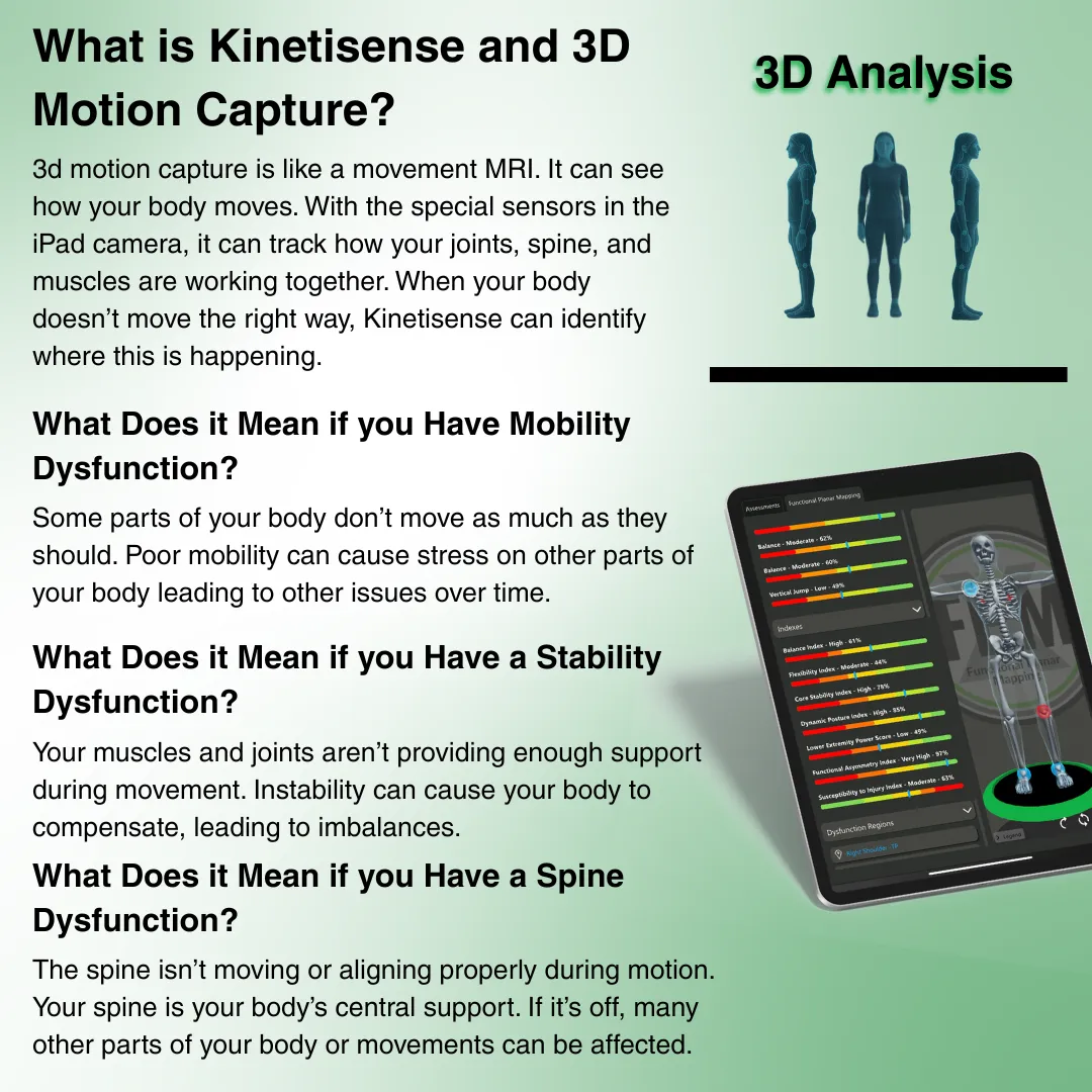 Kinetisense FPM interface showing mobility and stability classification with spine dysfunction overlay — stability deficit vs mobility deficit by movement plane